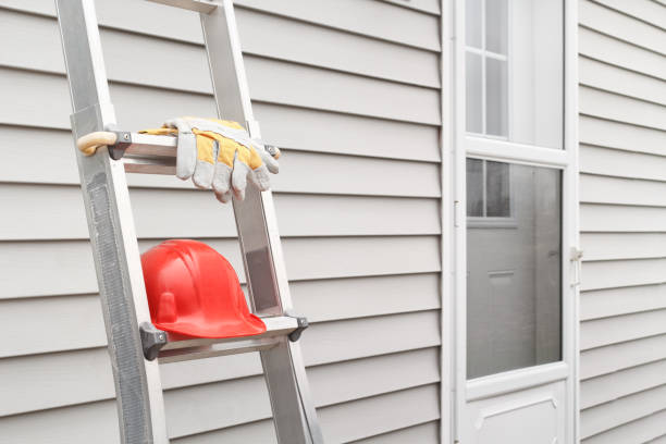 Best Siding Removal and Disposal  in St Charles, MN