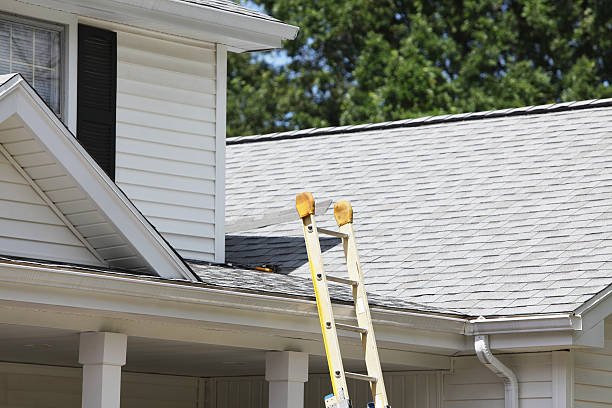 Professional Siding Installation in St Charles, MN